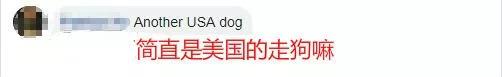⭐安全可靠
Twitter薅羊毛号
如何买不易弹验的